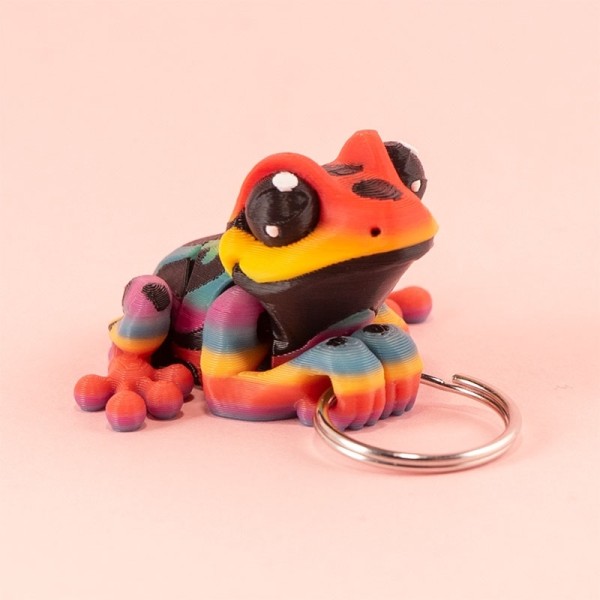 Pfeilgiftfrosch / Schlüsselanhänger / Fidget Pals