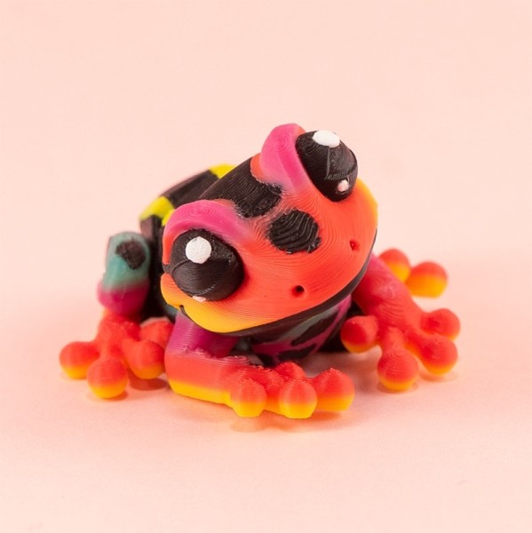 Pfeilgiftfrosch / Fidget Pals